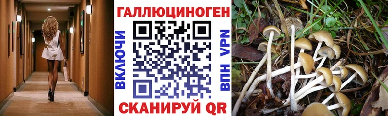 Псилоцибиновые грибы мухоморы Гаврилов-Ям